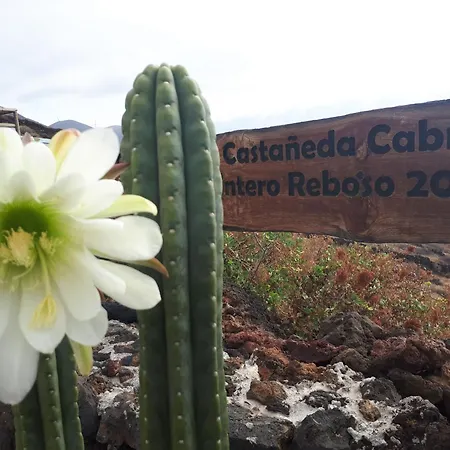 Pajero Cadenas
